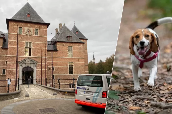 Un homme interné pour avoir terrorisé sa compagne: “Il a étranglé son chien pour lui faire avouer qu’elle le trompait”